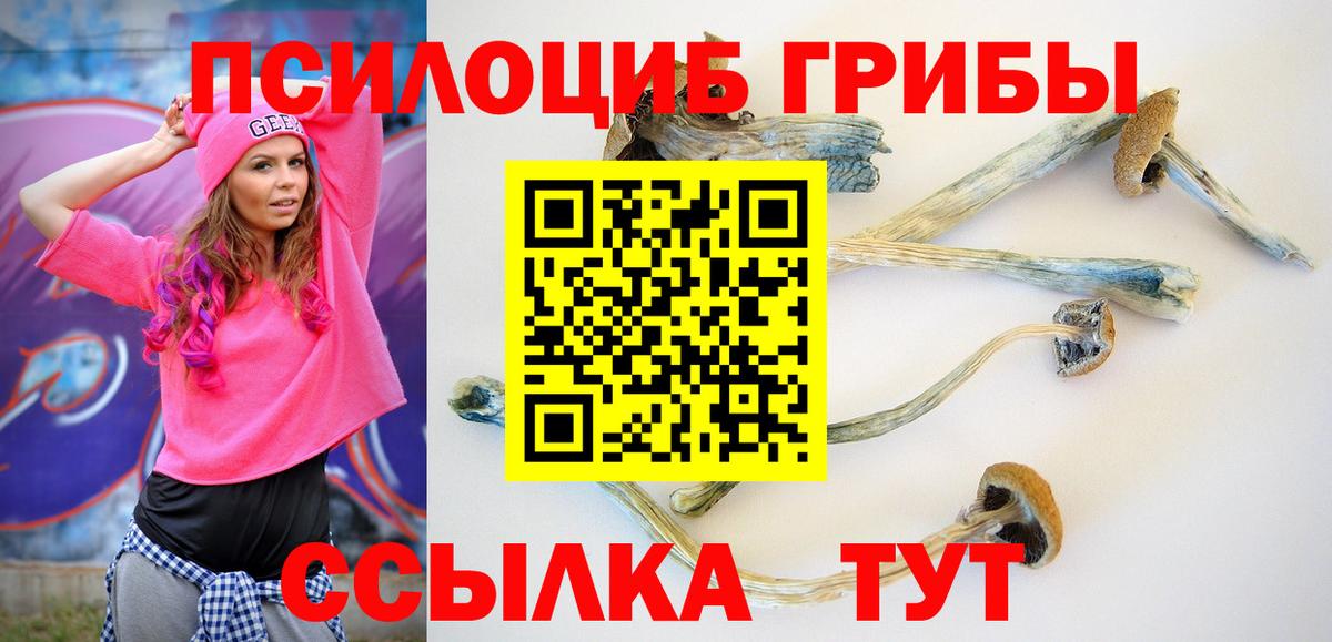 где найти наркотики  Вход с VPN  Мариинск  Галлюциногенные грибы прущие грибы 